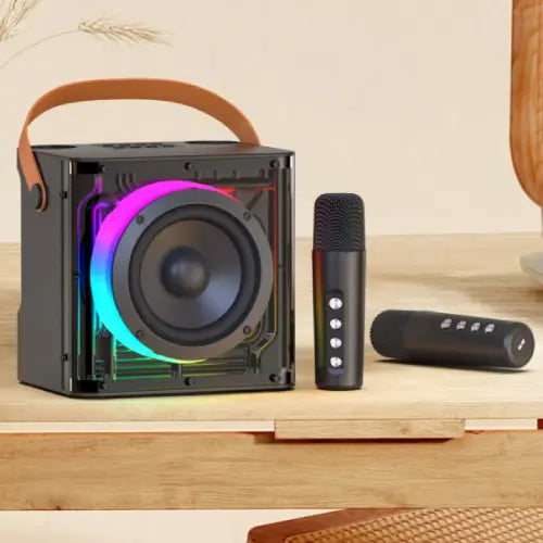 Havit SK822BT Portable Bluetooth Speaker – Includes 2 Wireless Microphones for Karaoke & Events