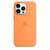 iPhone 13 Silicone Case with MagSafe